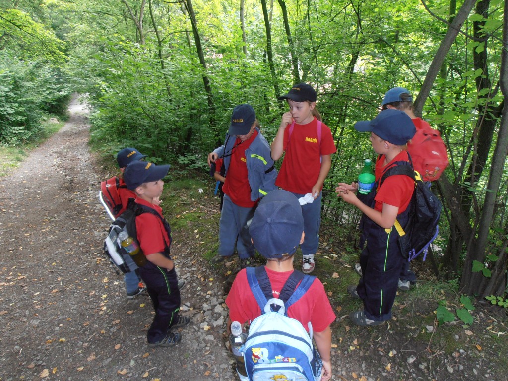 p7111565.jpg