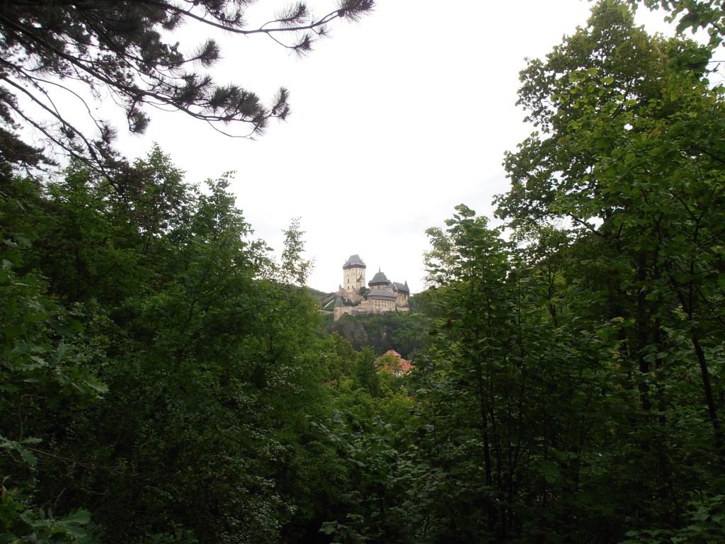 p7111566.jpg