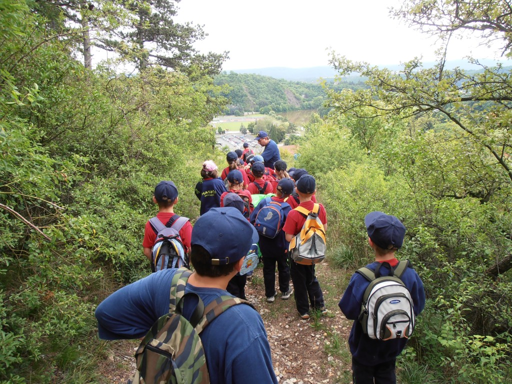p7111572.jpg