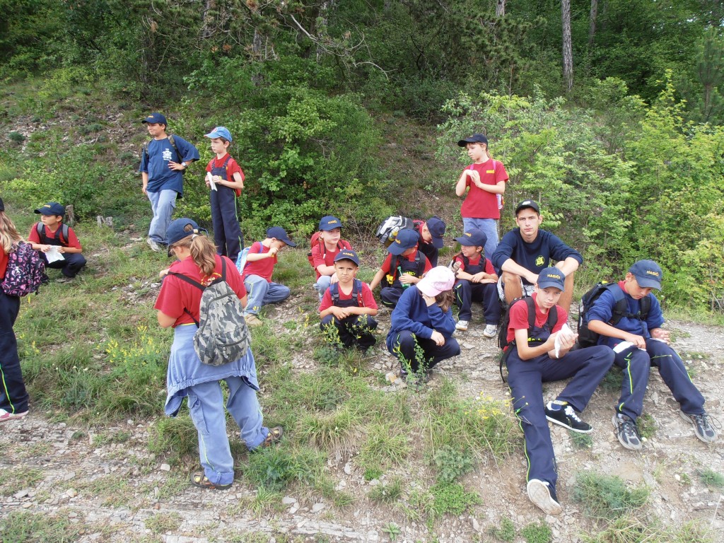 p7111575.jpg
