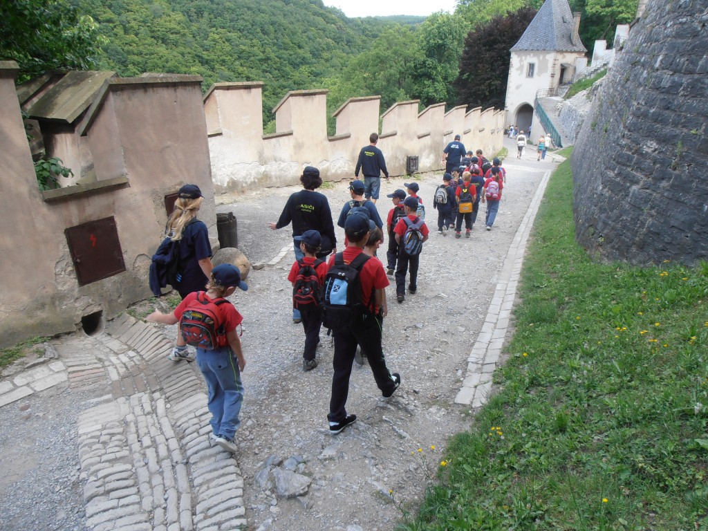 p7121672.jpg