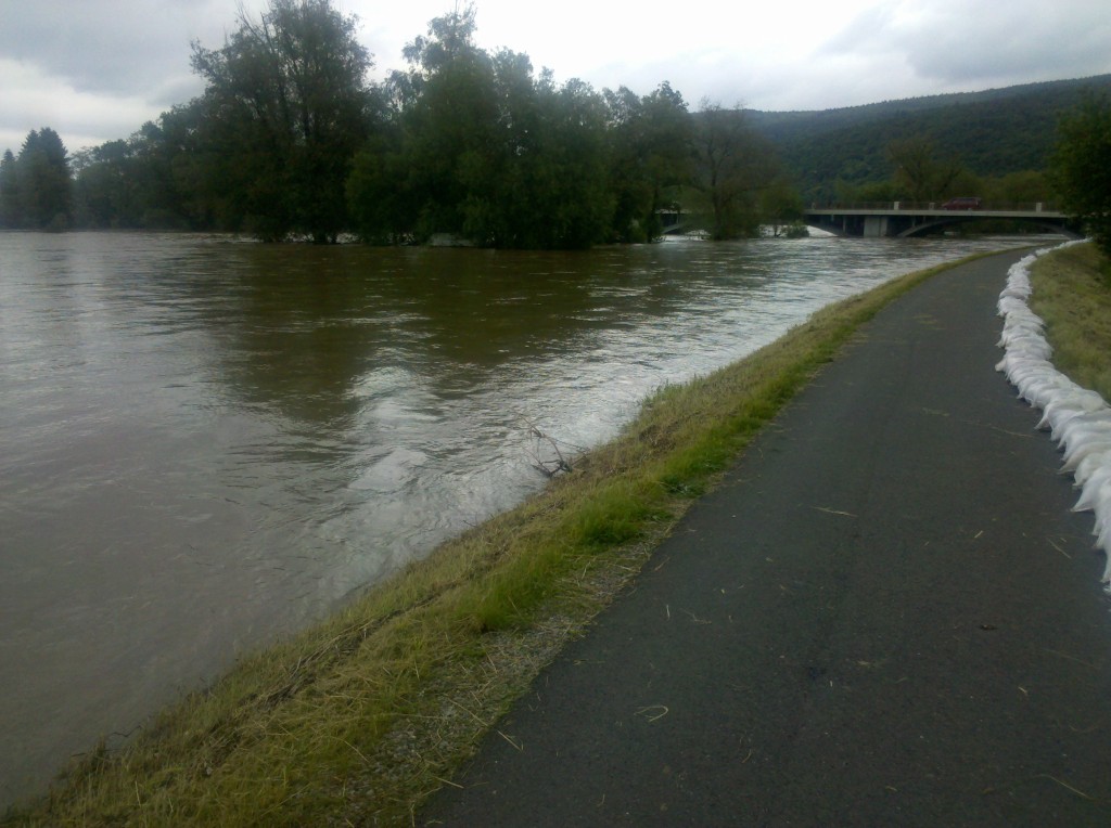 img_20130604_110936.jpg