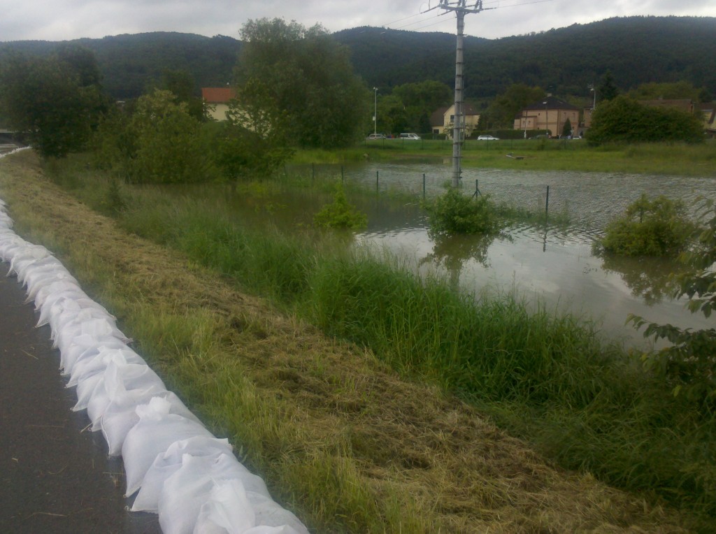 img_20130604_110940.jpg