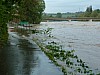 img_20130604_053932.jpg