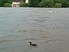 img_20130604_053940.jpg